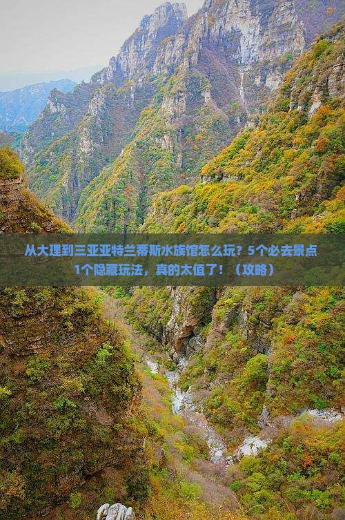 大理出发三亚亚特兰蒂斯水族馆哪里玩