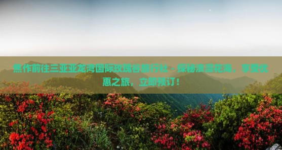 焦作前往三亚亚龙湾国际玫瑰谷旅行社