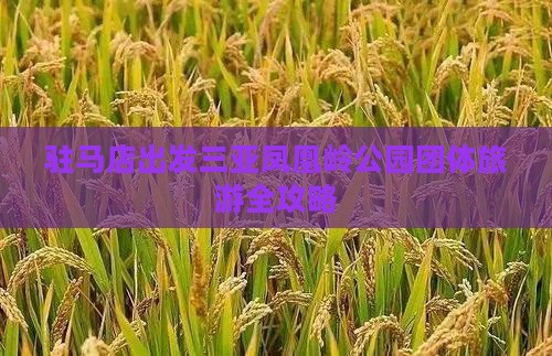 驻马店出发三亚凤凰岭公园团体旅游