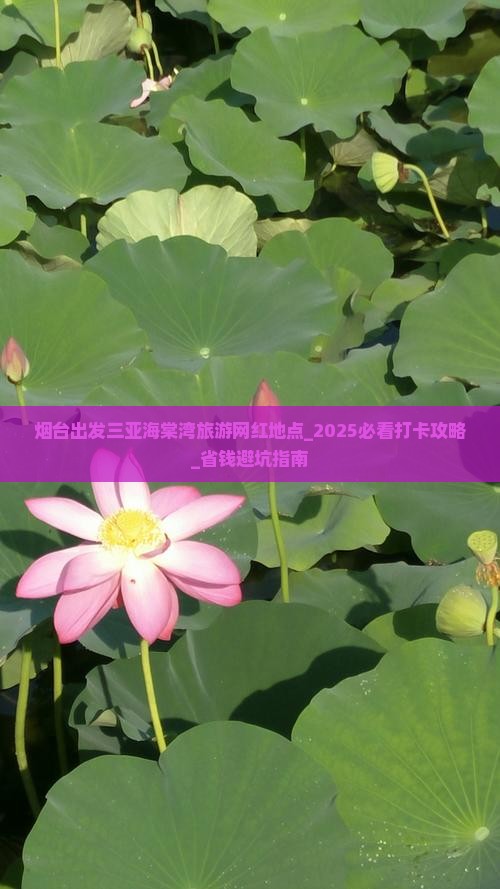 烟台出发三亚海棠湾旅游网红地点
