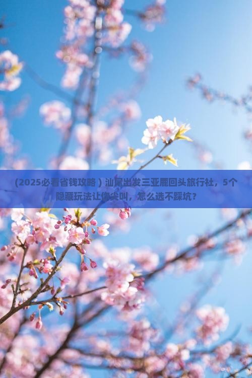汕尾出发三亚鹿回头旅行社