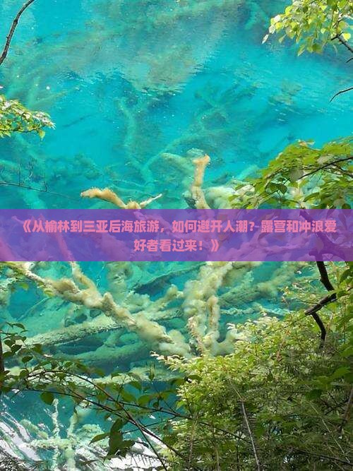 《从榆林到三亚后海旅游，如何避开人潮？露营和冲浪爱好者看过来！》