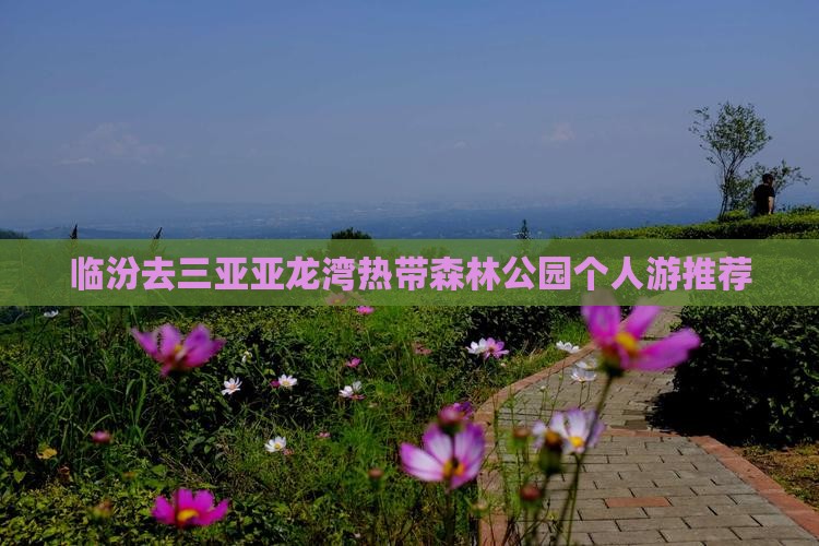 临汾去三亚亚龙湾热带森林公园个人游推荐