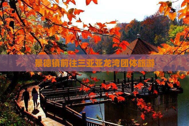景德镇前往三亚亚龙湾团体旅游