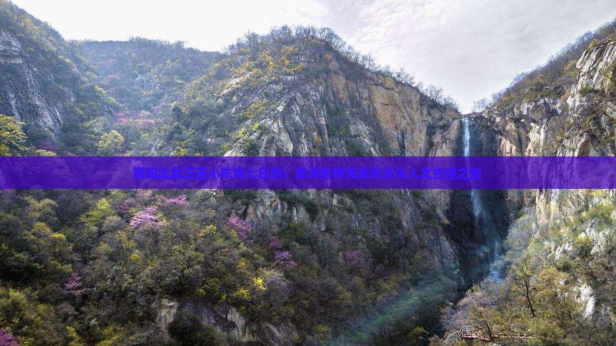 襄阳出发三亚小东海七日游：探寻热带海滨风光与人文古迹之旅