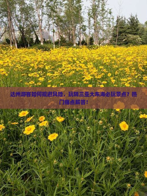 达州游客如何规避风险，玩转三亚大东海必玩景点？热门痛点解答！
