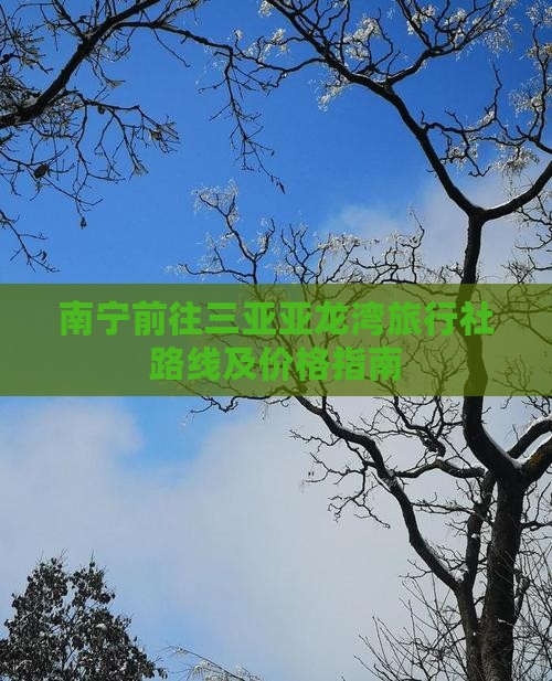 南宁前往三亚亚龙湾旅行社路线及价格指南