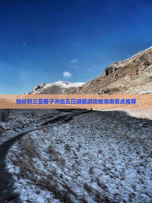 铁岭到三亚椰子洲岛五日游旅游攻略海南景点推荐