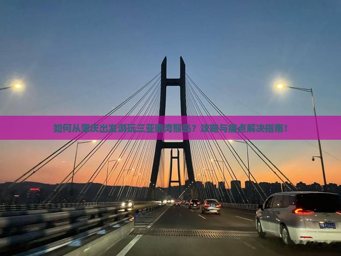如何从肇庆出发游玩三亚南湾猴岛？攻略与痛点解决指南！
