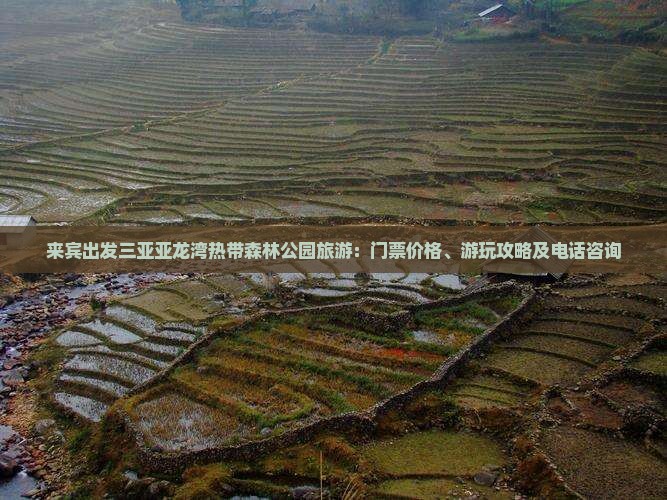 来宾出发三亚亚龙湾热带森林公园旅游：门票价格、游玩攻略及电话咨询