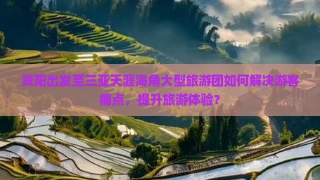 资阳出发至三亚天涯海角大型旅游团如何解决游客痛点，提升旅游体验？