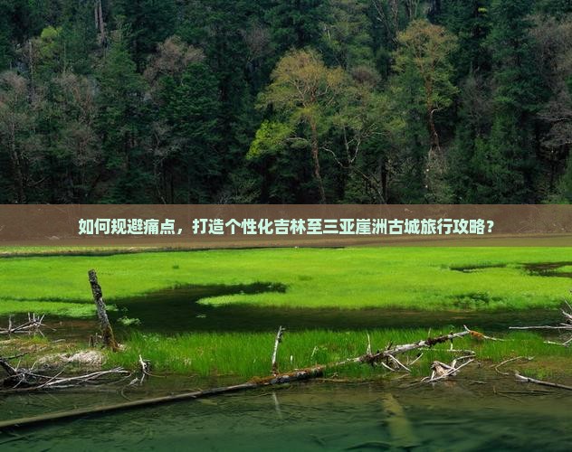 如何规避痛点，打造个性化吉林至三亚崖洲古城旅行攻略？