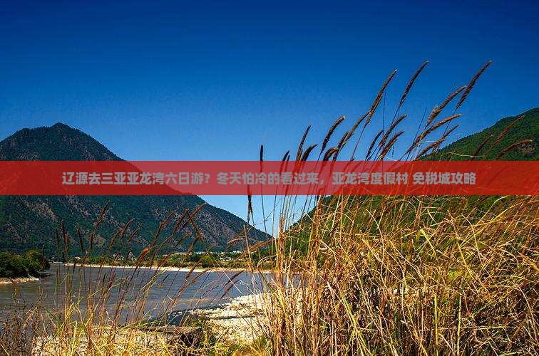 辽源去三亚亚龙湾六日游？冬天怕冷的看过来，亚龙湾度假村+免税城攻略