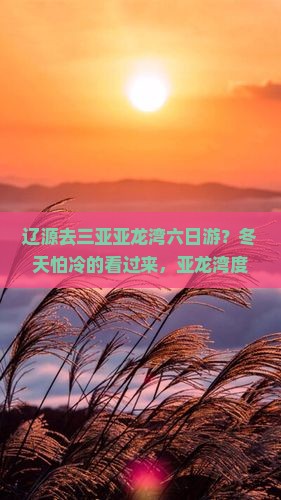 辽源去三亚亚龙湾六日游？冬天怕冷的看过来，亚龙湾度假村+免税城攻略