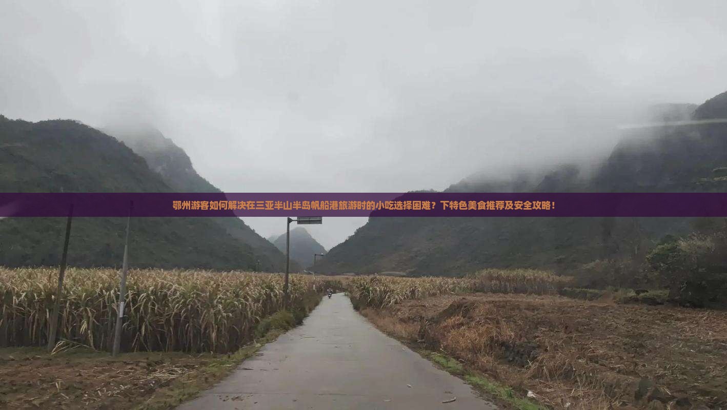 鄂州游客如何解决在三亚半山半岛帆船港旅游时的小吃选择困难？下特色美食推荐及安全攻略！