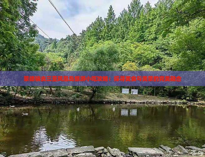 景德镇去三亚凤凰岛旅游小吃攻略：探寻美食与美景的完美融合