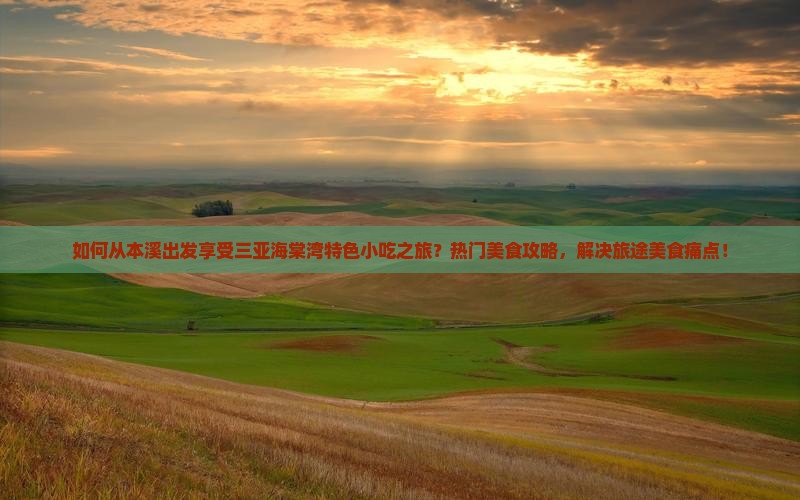 如何从本溪出发享受三亚海棠湾特色小吃之旅？热门美食攻略，解决旅途美食痛点！