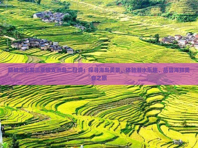 防城港出发三亚蜈支洲岛二日游：探寻海岛美景、体验潜水乐趣、品尝海鲜美食之旅