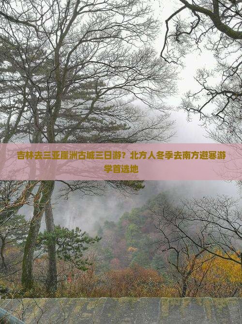 吉林去三亚崖洲古城三日游？北方人冬季去南方避寒游学首选地
