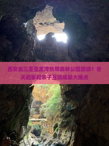 西安去三亚亚龙湾热带森林公园旅游？冬天避寒和亲子互动成最大痛点