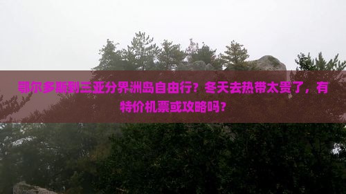 鄂尔多斯到三亚分界洲岛自由行？冬天去热带太贵了，有特价机票或攻略吗？