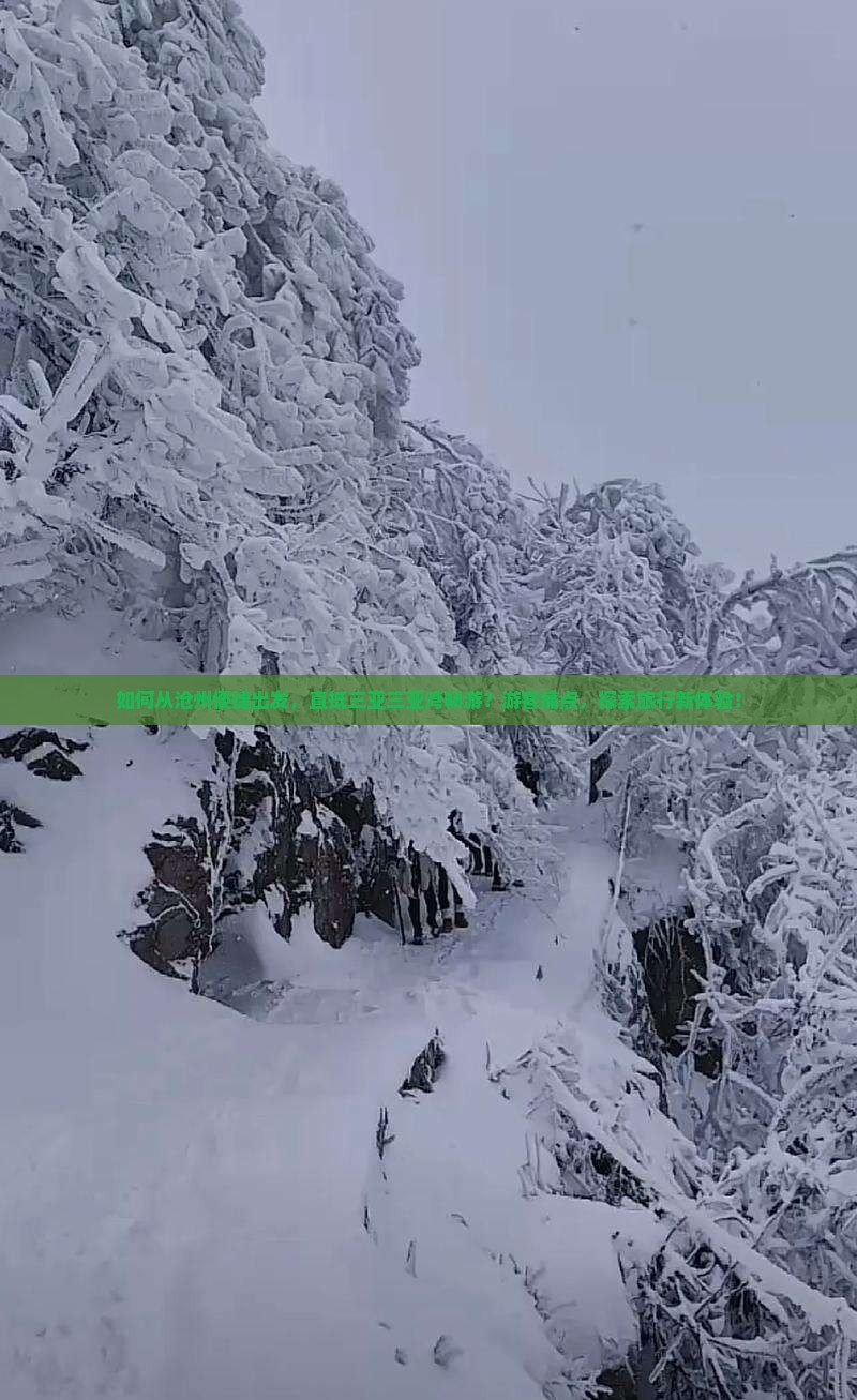 如何从沧州便捷出发，直抵三亚三亚湾畅游？游客痛点，探索旅行新体验！