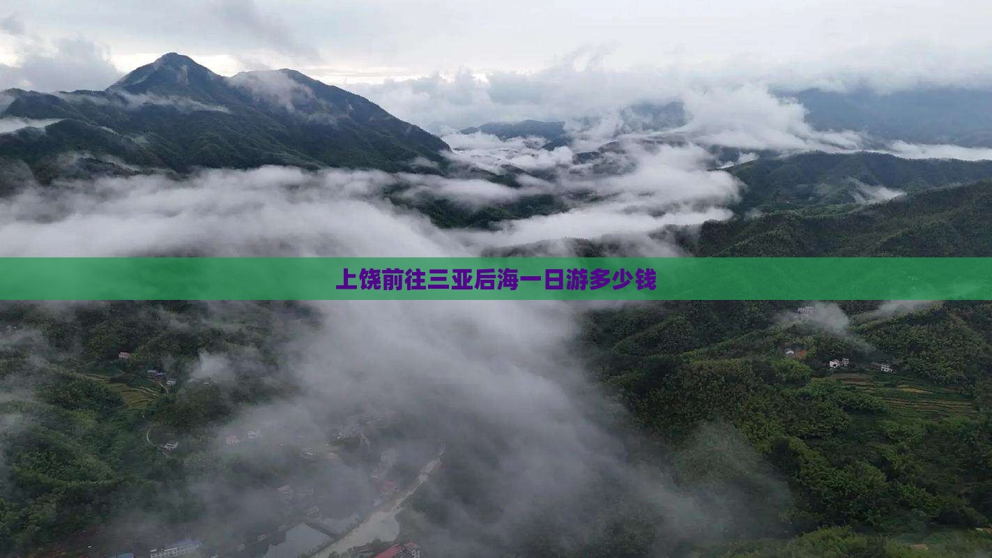 上饶前往三亚后海一日游多少钱