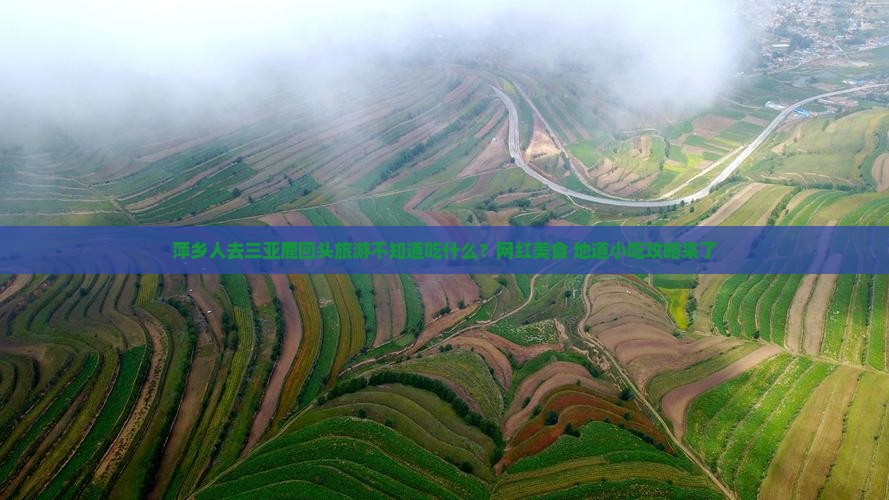 萍乡人去三亚鹿回头旅游不知道吃什么？网红美食+地道小吃攻略来了