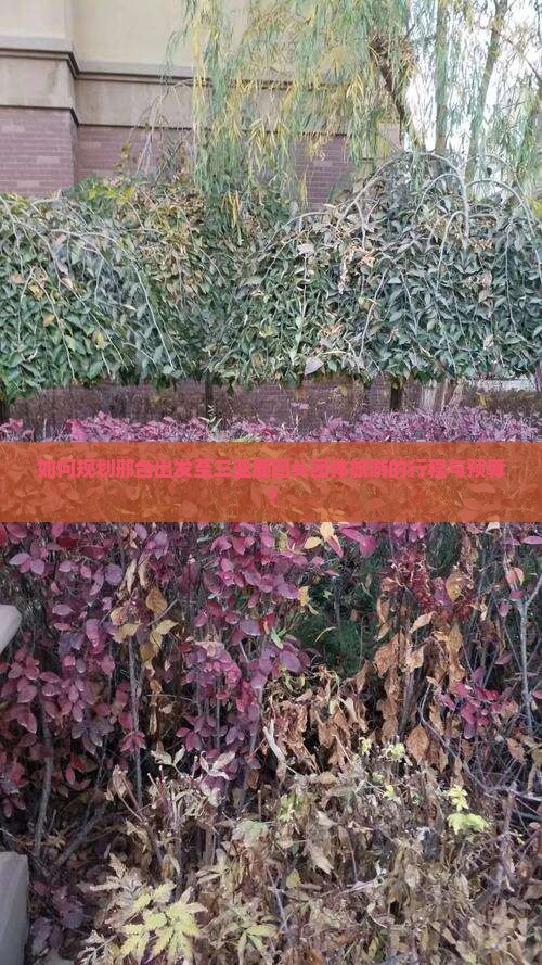 如何规划邢台出发至三亚鹿回头团体旅游的行程与预算？
