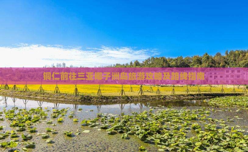 铜仁前往三亚椰子洲岛旅游攻略及路线指南