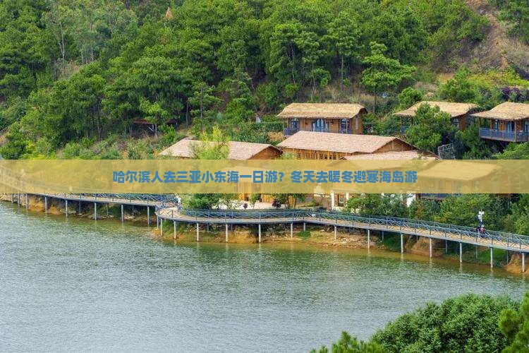 哈尔滨人去三亚小东海一日游？冬天去暖冬避寒海岛游