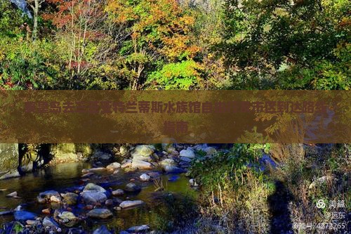 秦皇岛去三亚亚特兰蒂斯水族馆自由行及市区到达路线指南