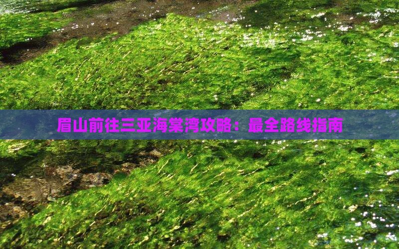 眉山前往三亚海棠湾攻略：最全路线指南