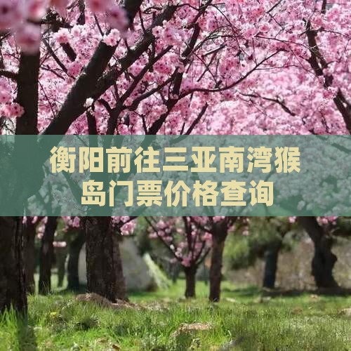 衡阳前往三亚南湾猴岛门票价格查询