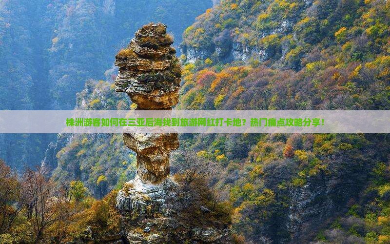 株洲游客如何在三亚后海找到旅游网红打卡地？热门痛点攻略分享！