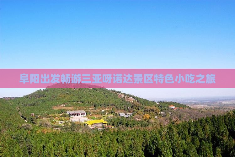 阜阳出发畅游三亚呀诺达景区特色小吃之旅