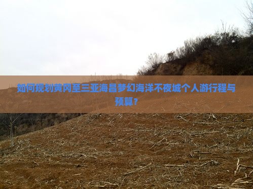 如何规划黄冈至三亚海昌梦幻海洋不夜城个人游行程与预算？