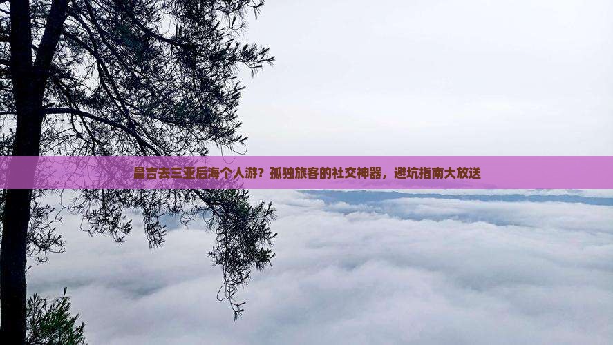 昌吉去三亚后海个人游？孤独旅客的社交神器，避坑指南大放送