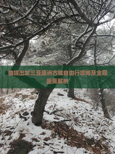 曲靖出发三亚崖洲古城自由行攻略及全程距离解析
