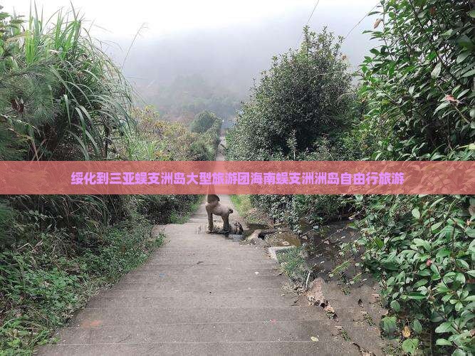 绥化到三亚蜈支洲岛大型旅游团海南蜈支洲洲岛自由行旅游
