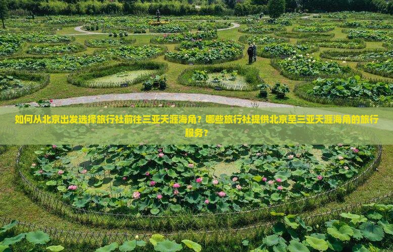 如何从北京出发选择旅行社前往三亚天涯海角？哪些旅行社提供北京至三亚天涯海角的旅行服务？