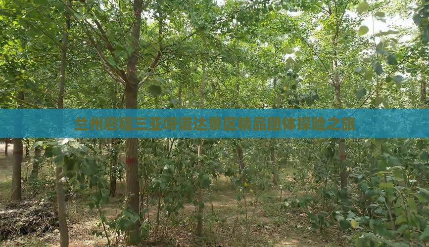 兰州启程三亚呀诺达景区精品团体探险之旅