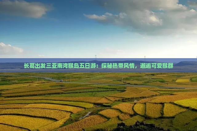 长葛出发三亚南湾猴岛五日游：探秘热带风情，邂逅可爱猴群