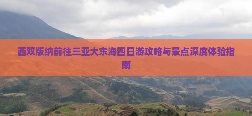 西双版纳前往三亚大东海四日游攻略与景点深度体验指南