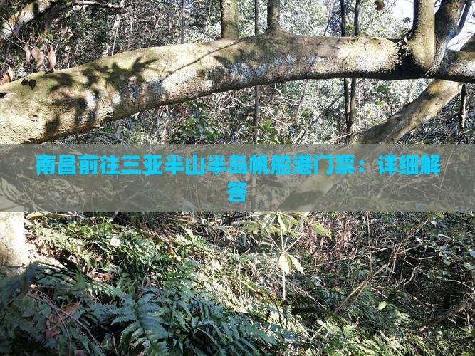 南昌前往三亚半山半岛帆船港门票：详细解答