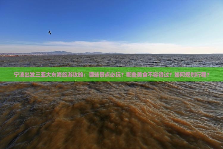 宁波出发三亚大东海旅游攻略：哪些景点必玩？哪些美食不容错过？如何规划行程？