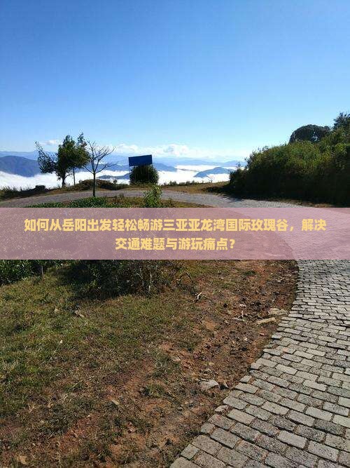 如何从岳阳出发轻松畅游三亚亚龙湾国际玫瑰谷，解决交通难题与游玩痛点？