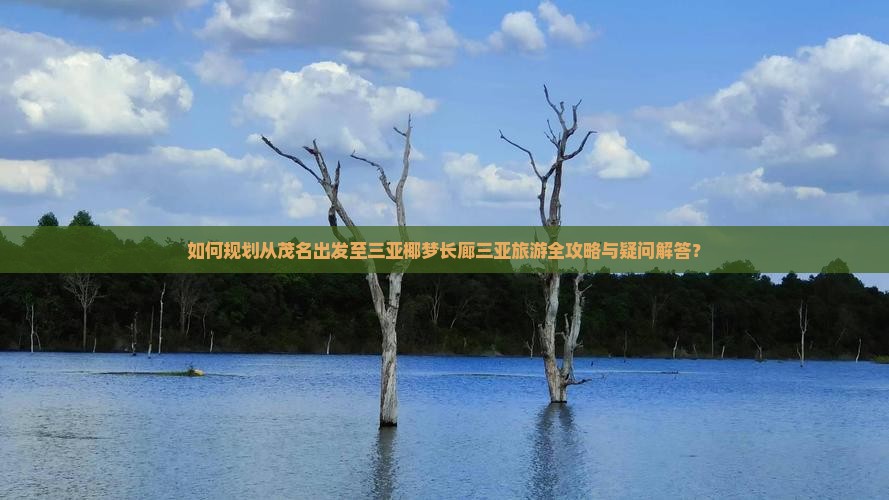 如何规划从茂名出发至三亚椰梦长廊三亚旅游全攻略与疑问解答？