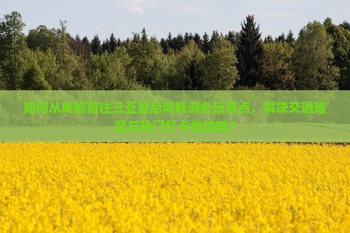 如何从成都前往三亚皇后湾畅游必玩景点，解决交通难题与热门打卡地攻略？