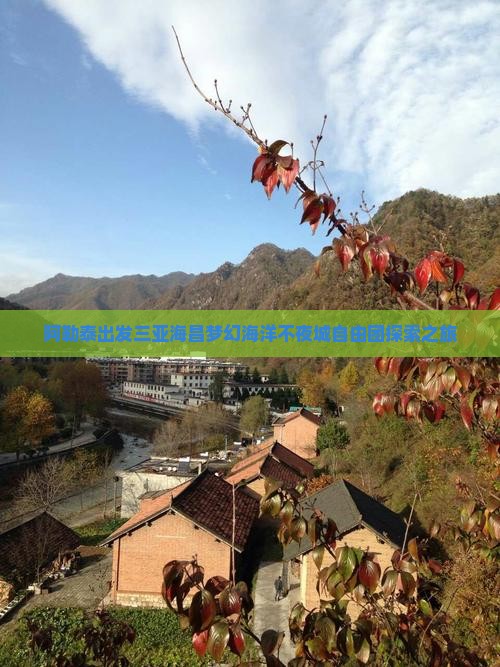 阿勒泰出发三亚海昌梦幻海洋不夜城自由团探索之旅 阿勒泰出发三亚海昌梦幻海洋不夜城自由团探索之旅